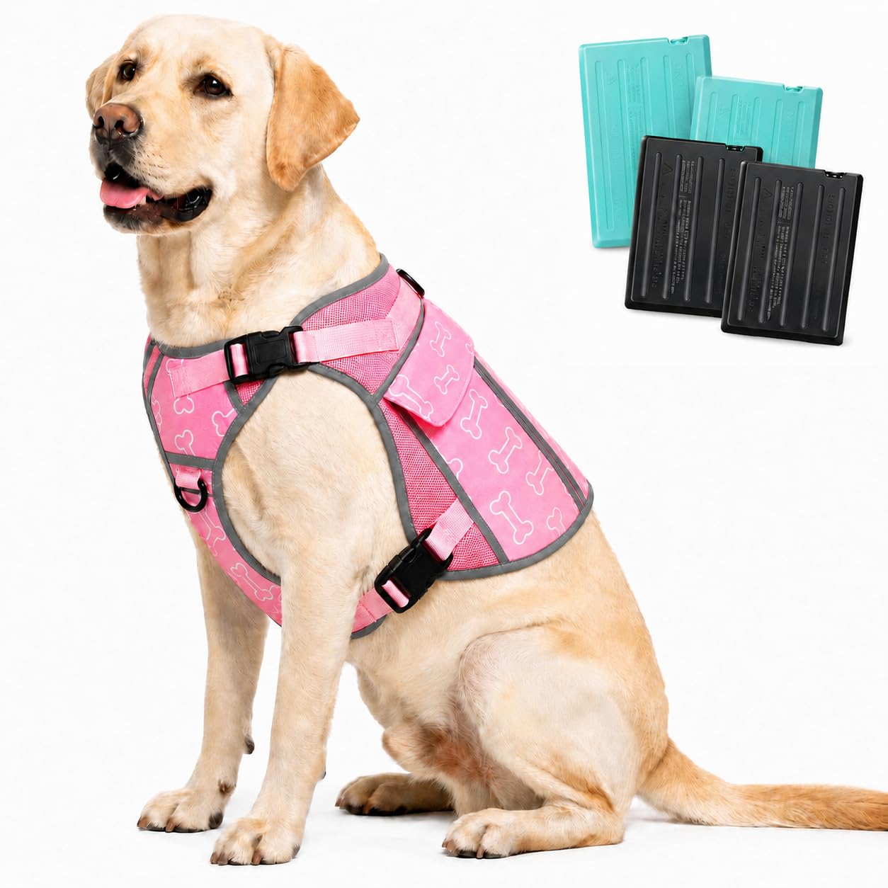 Cooling Dog Vest Harness with 4 Ice Packs. Chosen for real quality, fits naturally into modern pet