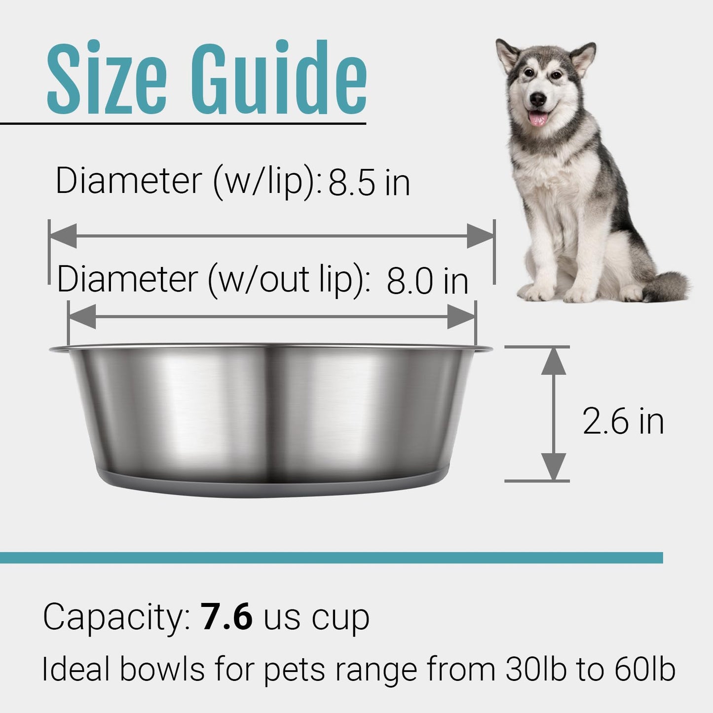 PEGGY11 Nonslip Stainless Steel Dog Bowls. Chosen for real quality, fits naturally into modern pet