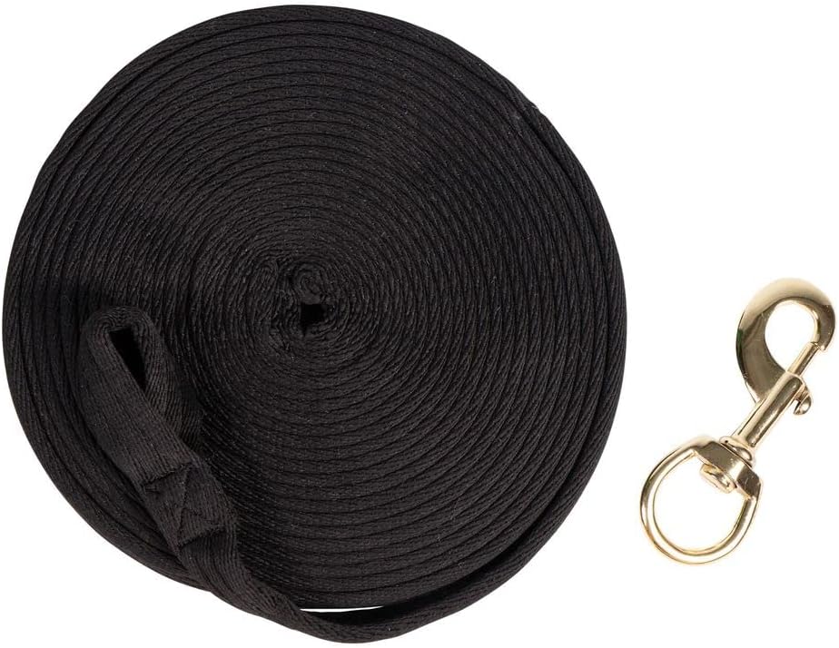Dura-Tech Cushion Lunge Line for Horses | Stable Use & Horse Training | Horse Lunge Line with Snap | Durable Horse Lead Rope | 30 Foot Length | Replaceable Brass Snap