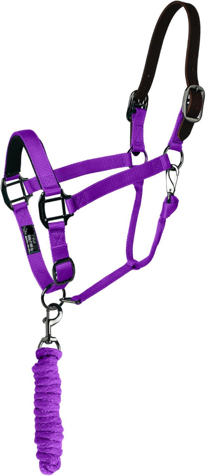 Majestic Ally Leather Halter with Matching Lead Rope for Horses – Leather Breakaway Crown - Adjustable Chin Strap – Rolled Throat Latch – Padded Noseband – Full (Purple, Full)