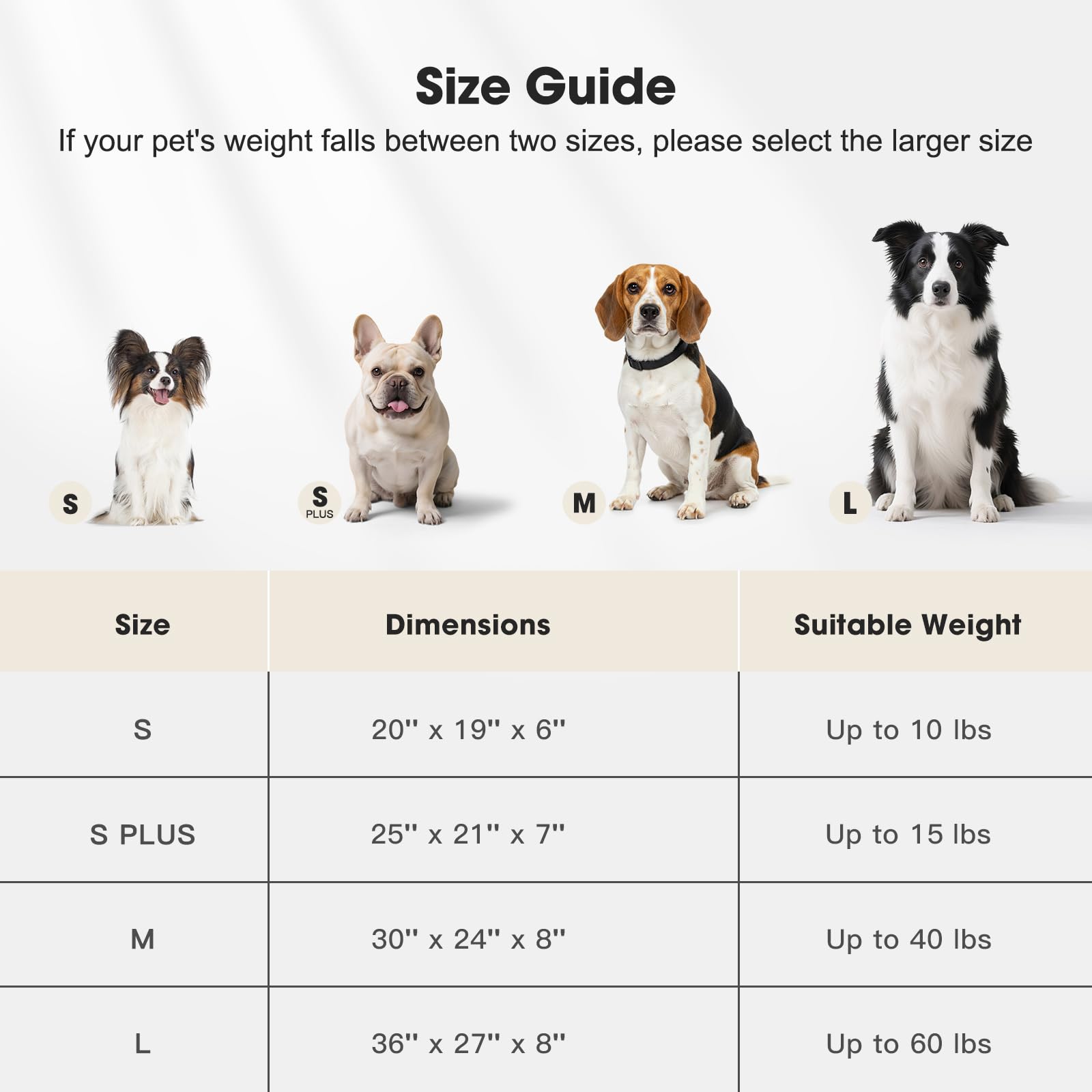 MIXJOY Dog Beds for Small Dogs Cats. Chosen for real quality, fits naturally into modern pet homes.
