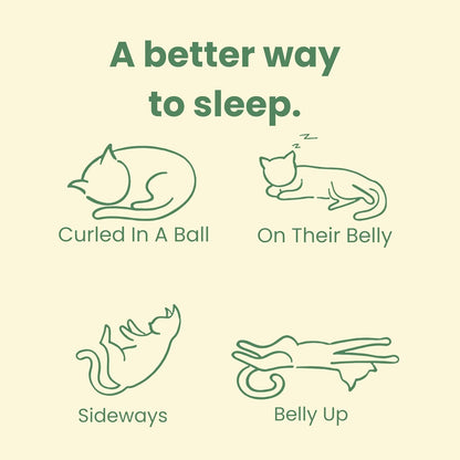 CATTASAURUS Peekaboo Cat Cave for Multiple & Large Cats Up to 30-45 Lbs, Fluffy Cat Beds for Indoor Cats, Scratch Detachable & Washable Tunnel Bed, Comfy Donut Cat Cave (Blue, Large (Calming))