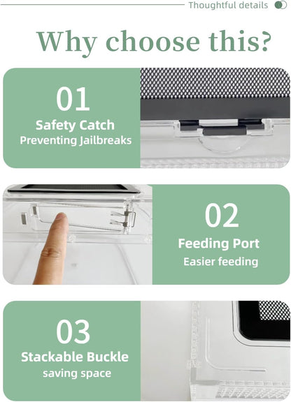 Reptile Terrarium 2025 Upgrade Leopard Gecko Tank Dual use of Water and Land, Stronger, More Durable, More Convenient, Suitable for Gecko, Hermit Crab, Tree Frog, Tarantula,Spiders (Large)