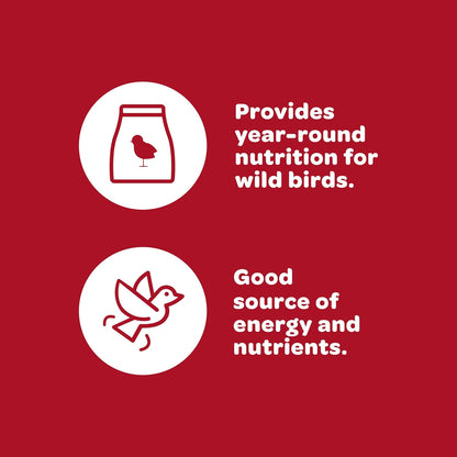 Kaytee Wild Bird Finch Food Blend, 3 lb