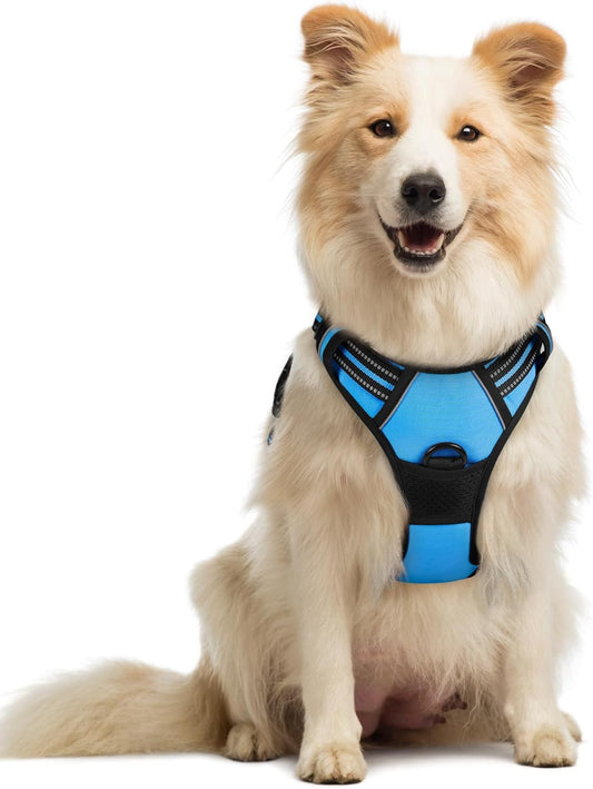 rabbitgoo Dog Harness No Pull with 2 Leash Clips, Adjustable Soft Padded, Reflective Oxford No Choke Pet Vest with Easy Control Handle for Medium Sized Dogs, Blue, M
