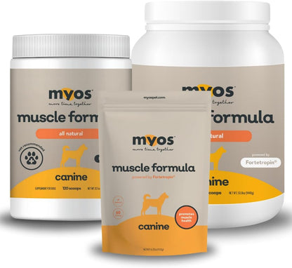 MYOS Canine Muscle Formula - All-Natural Muscle Building Supplement - Helps Reduce Muscle Loss in Aging Dogs and Improve Recovery from Injury or Surgery