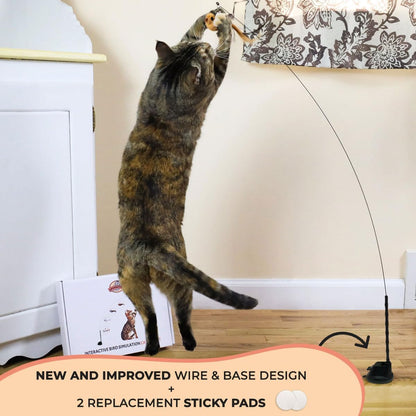 Interactive Bird Simulation Cat Toy Set, Interactive Cat Toy for Indoor Cats, Cat Feather Toy, Suction Cup, Weighted Base, 5 Replacement Birds, Feathers & Bells, Realistic Bird Impression