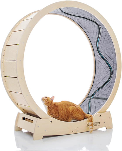 Star Cat Wheel, Cat Treadmill, Exercise Wheel for Running, Spinning, Scratching, and Climbing for Indoor Cats, Premium Birch Wood, Eco-Friendly, Moving Fish, Wide Running Track, 47.2 inch XL Size