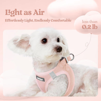 rabbitgoo Dog Harness Small Medium Sized and Leash Set, Step in Soft Light Puppy Vest, Breathable Mesh Pet Harness, Reflective for Safe Outdoor Walking, Pink L