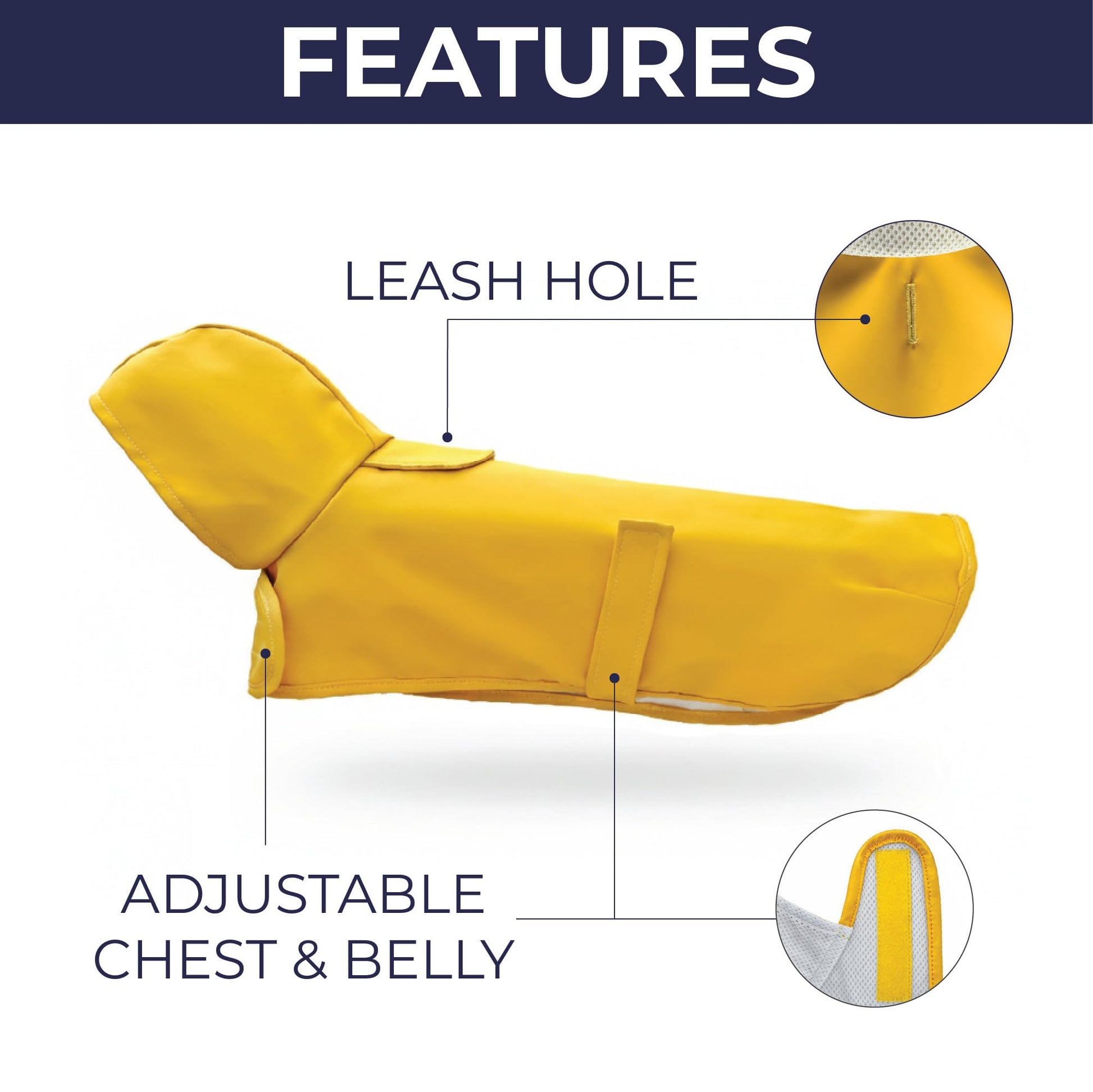 HUDSON HOUND Dachshund Raincoat. Chosen for real quality, fits naturally into modern pet homes.