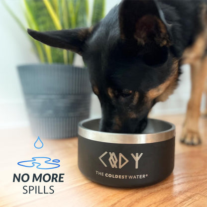 Coldest Dog Bowl - Anti Rust Metal, Non Slip, 3 Layers Insulated Stainless Steel Dog Bowls - Spill Proof & Heavy Duty - Water Bowl for Dogs, Cats, Dish Washer Safe (200 oz, Polished Stainless Steel)