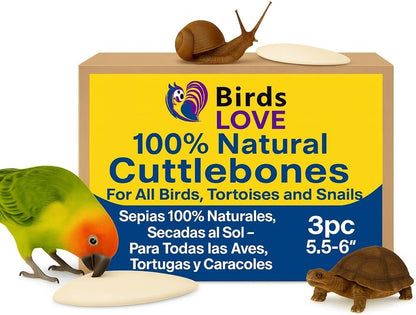 Birds LOVE Natural Cuttlebone | 100% Pure Sun-Dried Calcium Supplement for Birds, Tortoises, Snails & Crabs | Supports Beak & Shell Health | Easy to Chew | 3 Pack, Size 5.5 to 6"