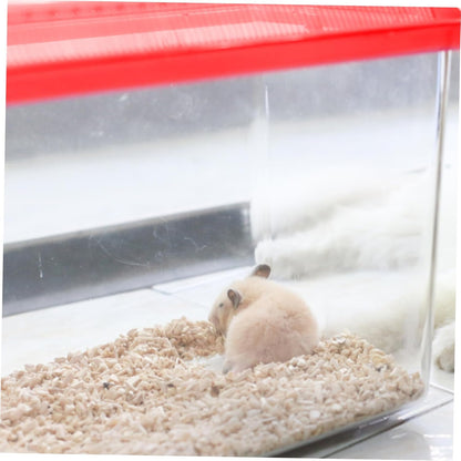 Transparent Plastic Turtle Fish Tank, Reptile Carrier, Feeding Tank, Glass Containers, Amphibia Container, Terrarium, Hamster Cages, Reptiles Commodity Mini