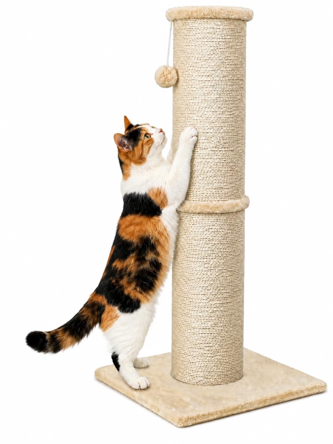 PAWSCRAT 32. Chosen for real quality, fits naturally into modern pet homes.