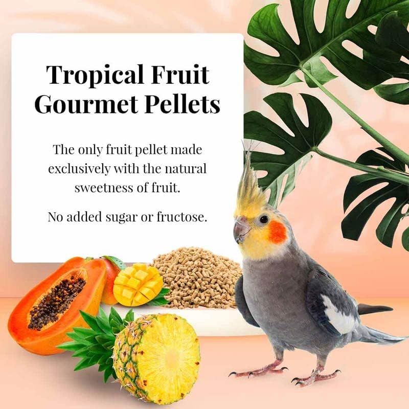 LAFEBER'S Cockatiel Pellets (1.25 lb (Pack of 2), Tropical Fruit Pellets)