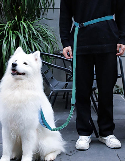 Hands Free Dog Leash for Large Medium Dogs Heavy Duty Bungee Reflective Adjustable Waist Leashes for Walking Running with Car Buckle 4-6FT (Green)