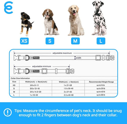 Blueberry Pet Essentials Adjustable Dog Collar in Turquoise | Dog Collars for Medium & Large Dogs | Eco-Friendly Nylon for Boy & Girl Puppies | Stylish & Durable for The Eco-Conscious