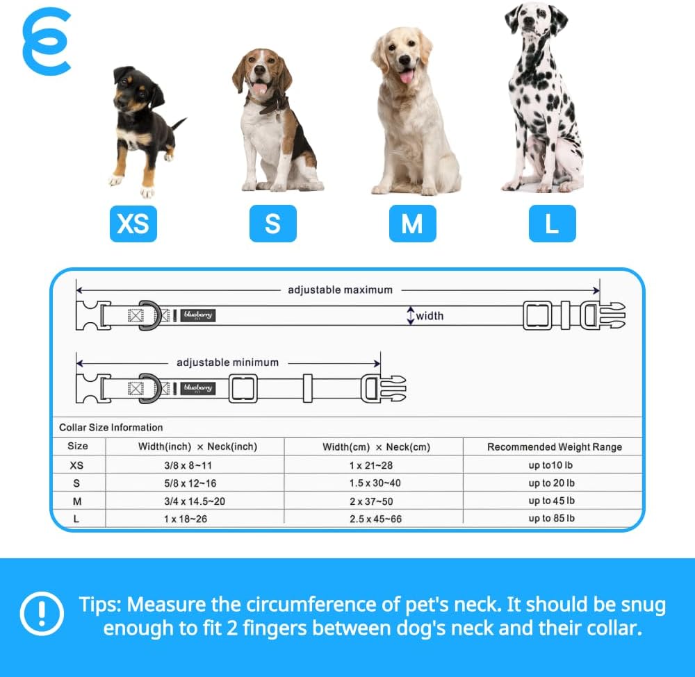 Blueberry Pet Essentials Medium Dog Collar in Baby Pink | Adjustable & Eco-Friendly Durable Nylon Strap | Classic Collar for Medium Dogs, Boy & Girl Pets