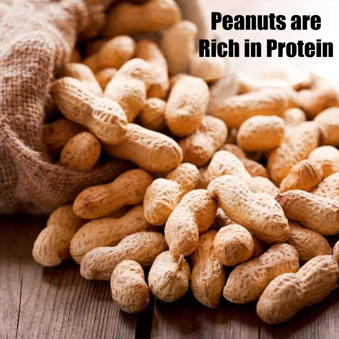 Old Potters Wildlife in-Shell Peanuts for Birds, Squirrels, and Wildlife. USA Grown Non-GMO Raw in-Shell Peanuts (in-Shell, 4 lbs)