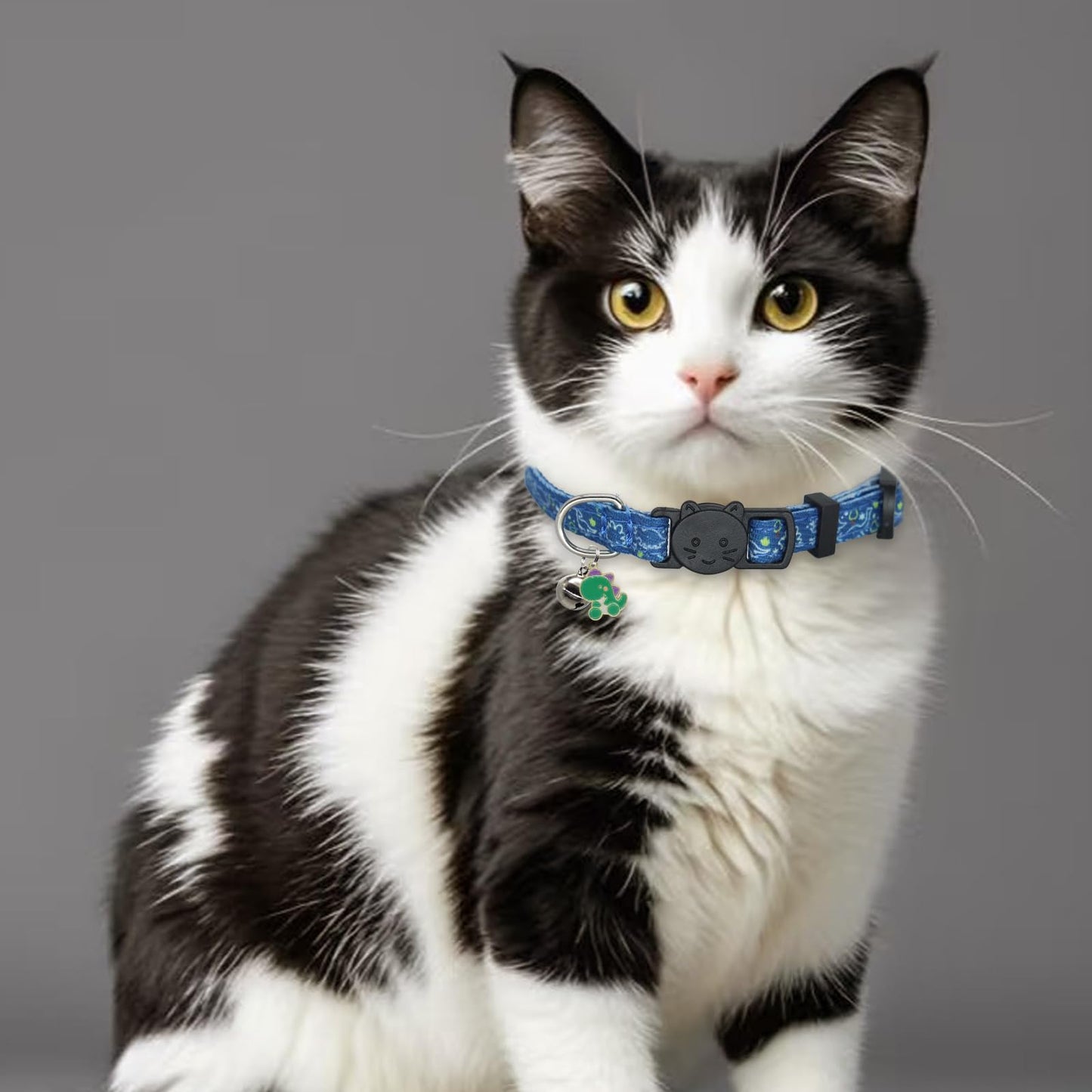 Giecooh Cat Collars for Boy Cats. Chosen for real quality, fits naturally into modern pet homes.