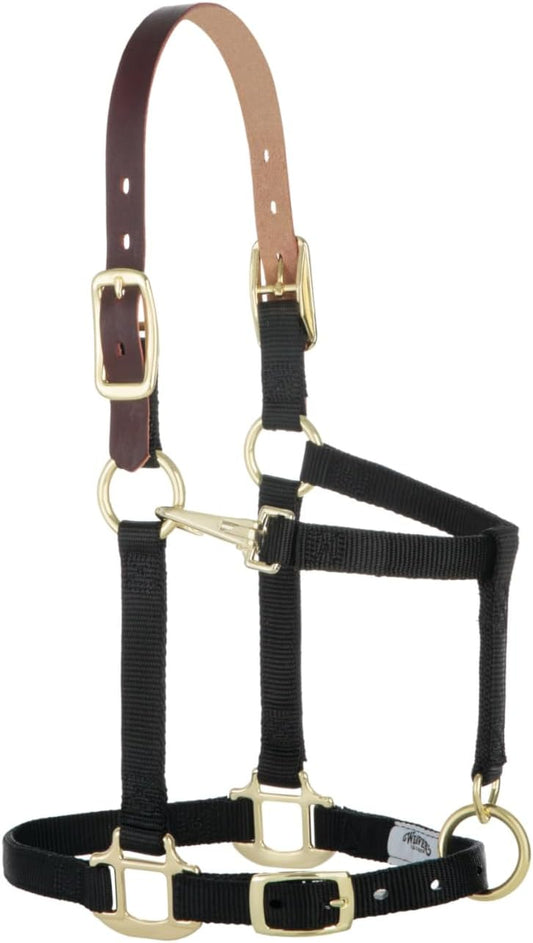Weaver Equine Breakaway Horse Halter, Supple Leather Crown, Adjustable Chin & Throat Snap Halters