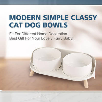 Elevated Ceramic Dog Bowl Set. Chosen for real quality, fits naturally into modern pet homes.