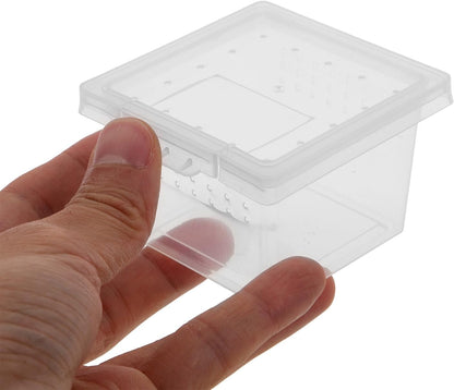 balacoo Reptile Feeding Box: 100Pcs Reptile Breeding Box Plastic Transparent Feeding Enclosure Case Hatching Container with Lid for Spider Scorpion Gecko Snake Tortoise