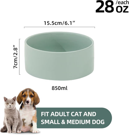 Ceramic 6.1inch Dog Bowls for Small and Medium Breed Dog Dish Pet Food and Water Bowl (Set of 2 Bowls - Light Green, 28oz)