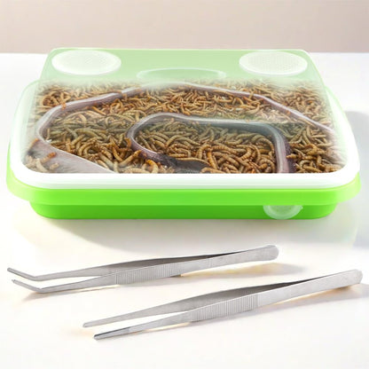 1 Pack Mealworms Breeding Kit Mealworms Keeper with 2 Pcs Insect Stainless Steel Tweezers to Breed Live Worms for Reptile Bearded Dragon Leopard Gecko Lizard Frog Bird Chicken