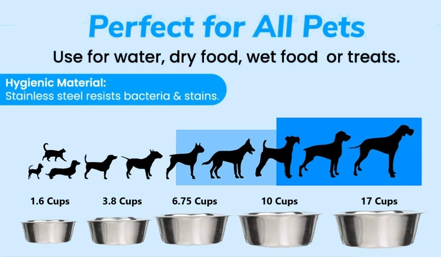 4 Pack. Chosen for real quality, fits naturally into modern pet homes.