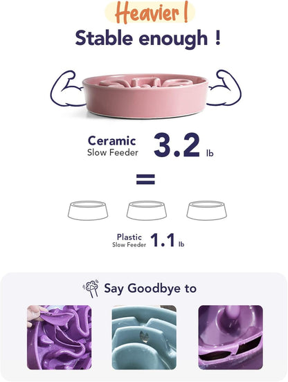LE TAUCI Ceramic Slow Feed Dog Bowls, Elevated for Small and Medium Breed Dogs, Anti-Gulping Pet Feeding Dishes, Flower Pink, 1.5 Cups