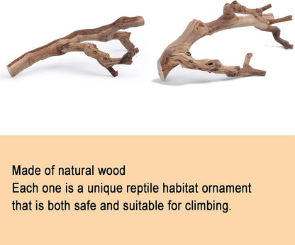 BNOSDM 2PCS Reptile Wood Branches Decor Lizard Habitat Decoration Snake Climbing Branch Accessories Terrarium Tree Trunk Ornament for Bearded Dragon Gecko Frog Chameleon Spider