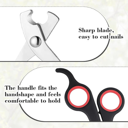 Lasnten 2 Pcs Bird Nail Grinder with Bird Nail Clipper Bird Nail Trimmer Bird Nail File with LED Lamp Grooming Tool for Bird Parrot Budgerigars Parakeets Myna Conure Finches Lovebirds (Black)