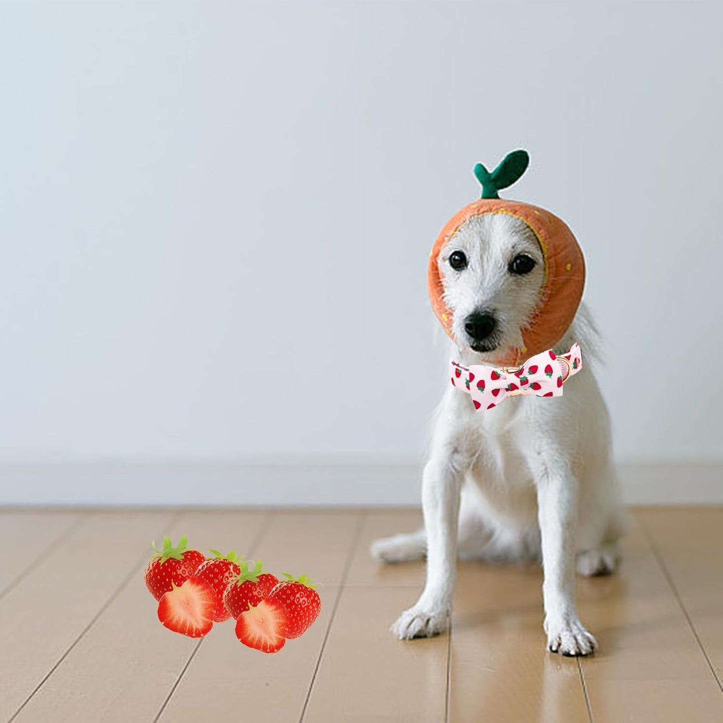Elegant little tail Dog Collar, Strawberries Print Pet Collar Summer Dog Collar Durable Metal Buckle Dog Collars Cotton Pet Adjustable Dog Collars for Large Dogs