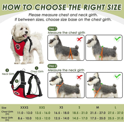 SlowTon Dog Seat Belt Harness for Car, Dog Car Harness Adjustable Mesh Breathable & Dog Seatbelt Safety Tether with Elastic Bungee for Small Medium Large Pets(Red, Double Clip, XXXS)