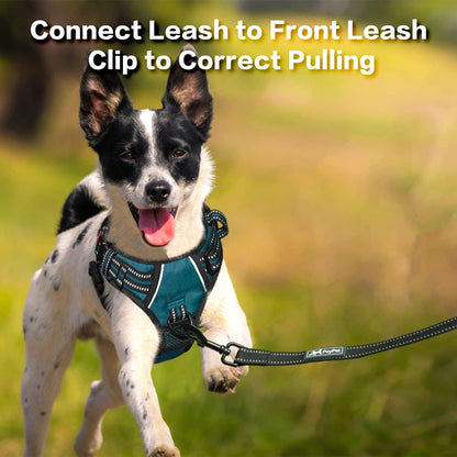 PoyPet No Pull Dog Harness, No Choke Front Clip Reflective Dog Vest with Soft Padded Vertical Handle, 3 Leash Attachments for Small Medium Large Dogs (Tumalo Teal,S)