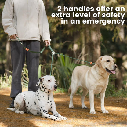 Howgo Double Slip Leash Slip Lead with Two Handles| Dual Dog Slip Lead for 2 Dogs,360° Swivel No Tangle | Dog Training Collar | Double Clip Leash Coupler and Splitter (Black, 6FT)
