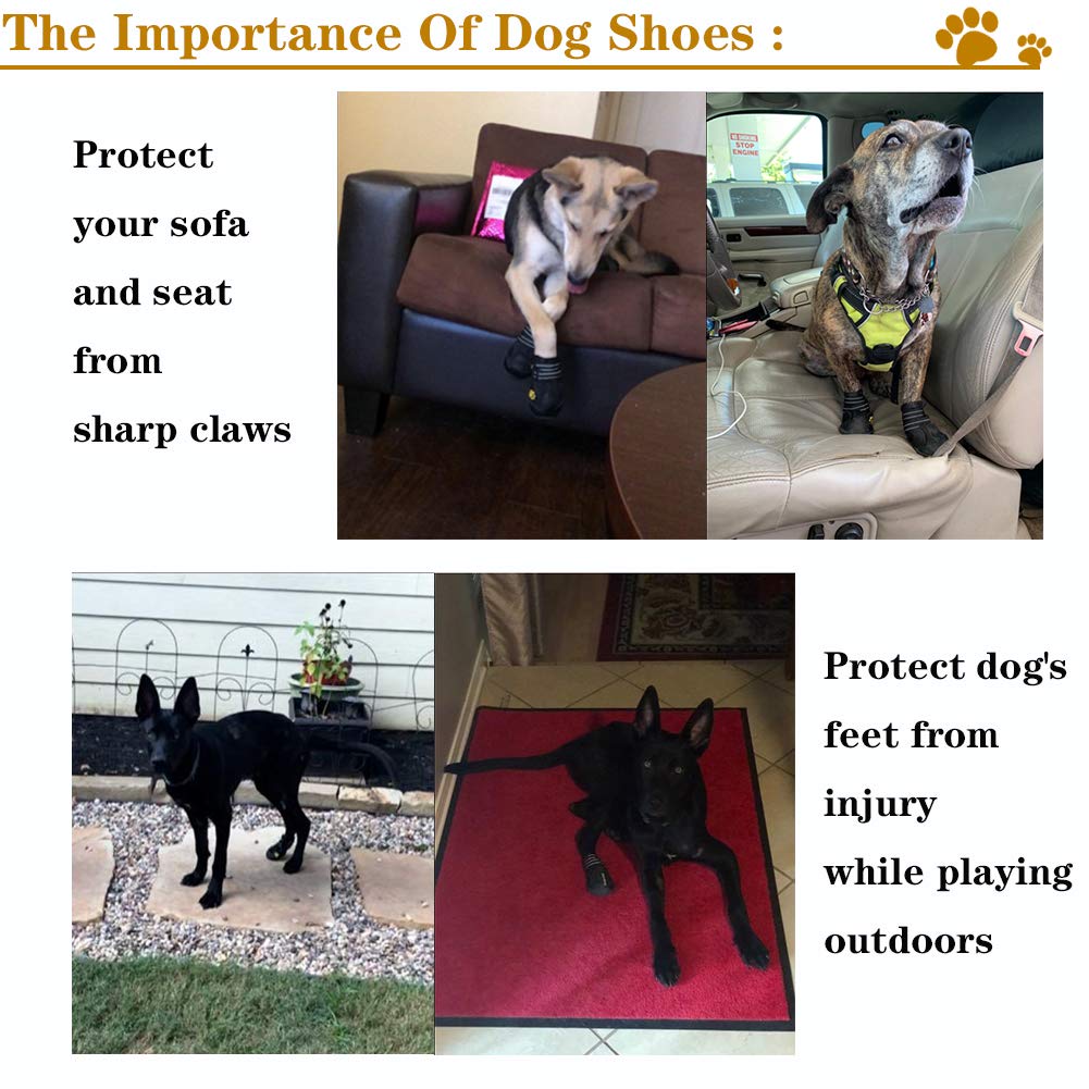 XSY&G Dog Boots. Chosen for real quality, fits naturally into modern pet homes.