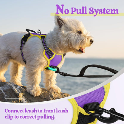 rabbitgoo Dog Harness No Pull with 2 Leash Clips, Adjustable Soft Padded, Reflective Oxford No Choke Pet Vest with Easy Control Handle for Puppy, Purple & Yellow, XS