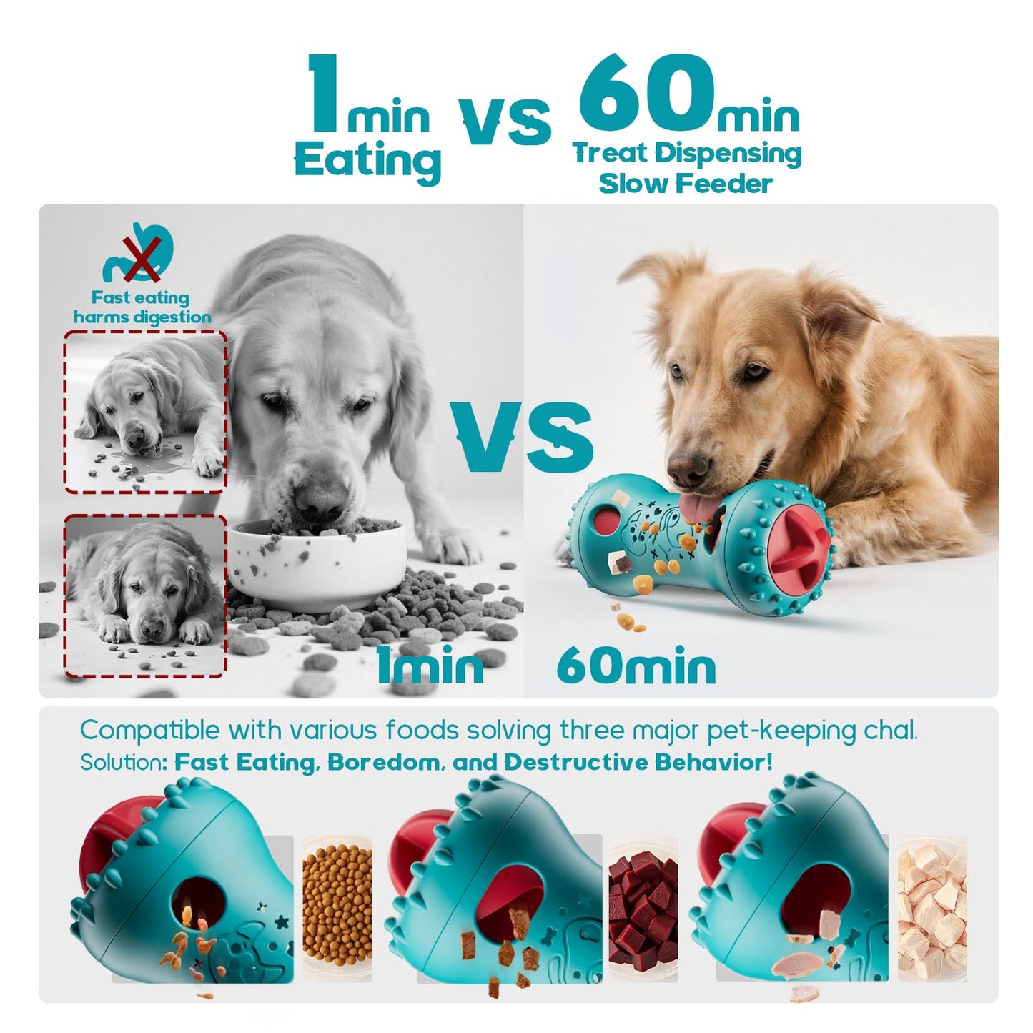 Interactive Dog Toys. Chosen for real quality, fits naturally into modern pet homes.