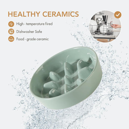 Ceramic 7.3 inch Dog Bowl Slow Feeder, Slow Pet Food Dish for Medium and Small Dog, Stop Bloat, Preventing Choking(Single Bowl, Light Green)