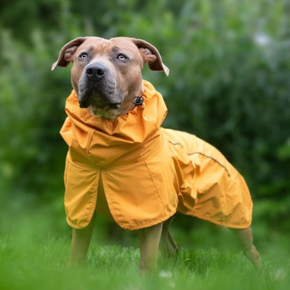 Spark Paws Dog Raincoat. Chosen for real quality, fits naturally into modern pet homes.