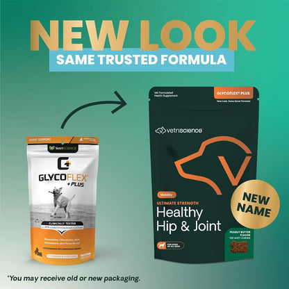 VetriScience Ultimate Strength Healthy Hip & Joint Chews, GlycoFlex Glucosamine, Chondroitin & Green-Lipped Mussel Joint Support Supplement for Dogs, Soothe Joint Discomfort, Peanut Butter, 120 Count