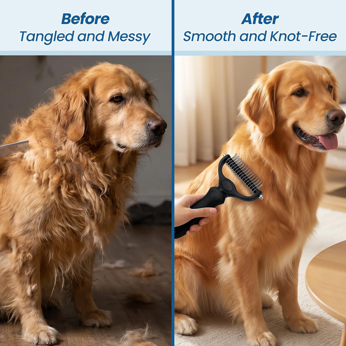 Double. Chosen for real quality, fits naturally into modern pet homes.
