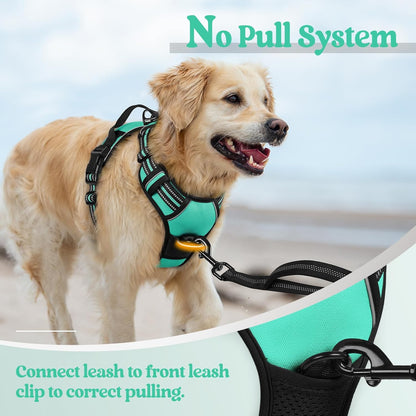 rabbitgoo Dog Harness No Pull with 2 Leash Clips, Adjustable Soft Padded, Reflective Oxford No Choke Pet Vest with Easy Control Handle for Medium Sized Dogs, Turquoise, M