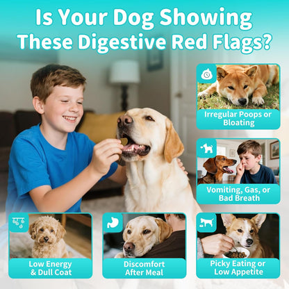 Probiotics for Dogs, Digestive Enzymes for Gut Health Support, Dog Fiber Supplement with Pumpkin for Diarrhea & Bowel Support, Upset Stomach & Gas Relief, Constipation - 60 Count Chicken Flavor