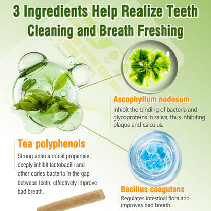 Puxulyiz Freezed Dried Cat Chew Sticks. Chosen for real quality, fits naturally into modern pet