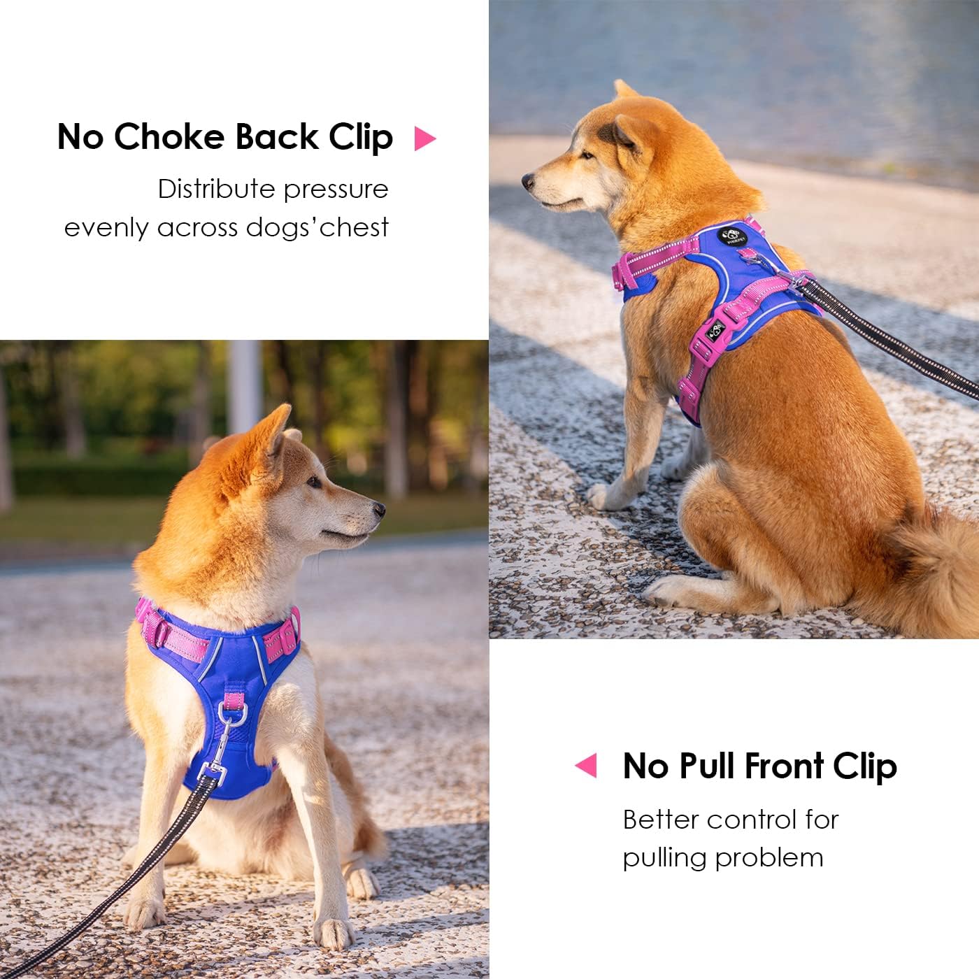 PHOEPET No Pull Dog Harness, Unique Colors Reflective Adjustable Dog Vest, with Soft Training Handle Metal Clips for Small Medium Large Dogs (Royal Blue Base & Pink Straps,S)