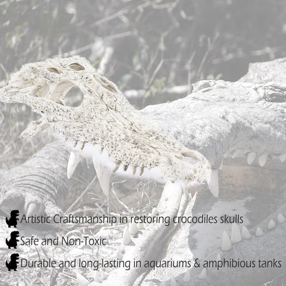 Animal Skull Fish Aquarium Hideout Decorations Cave Dinosaur Reptile Ornament Halloween Décor for Terrarium Large Betta Decor Bones