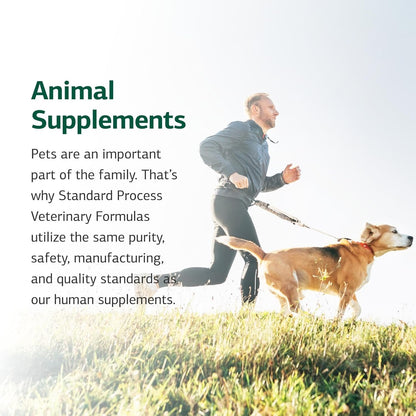 Standard Process Inc. Canine Flex Support - Joint & Immune Health Supplement for Dogs - Chewable Wafers for Healthy Joint Function Support - Nutritional Whole-Food Based Supplement - 100 wafers